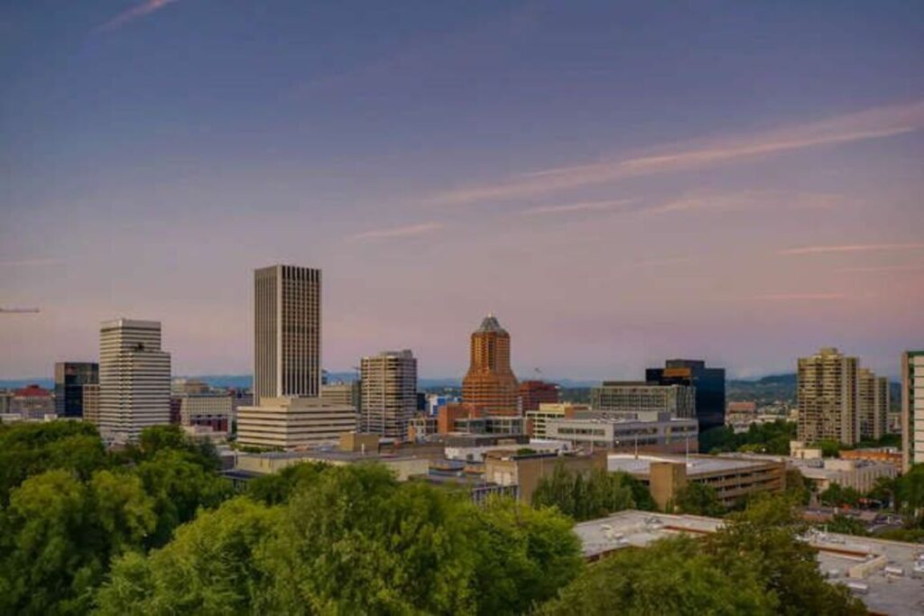Portland skyline. Tall buildings in the distance, trees in the foreground